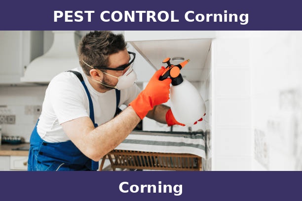 PEST CONTROL Corning
